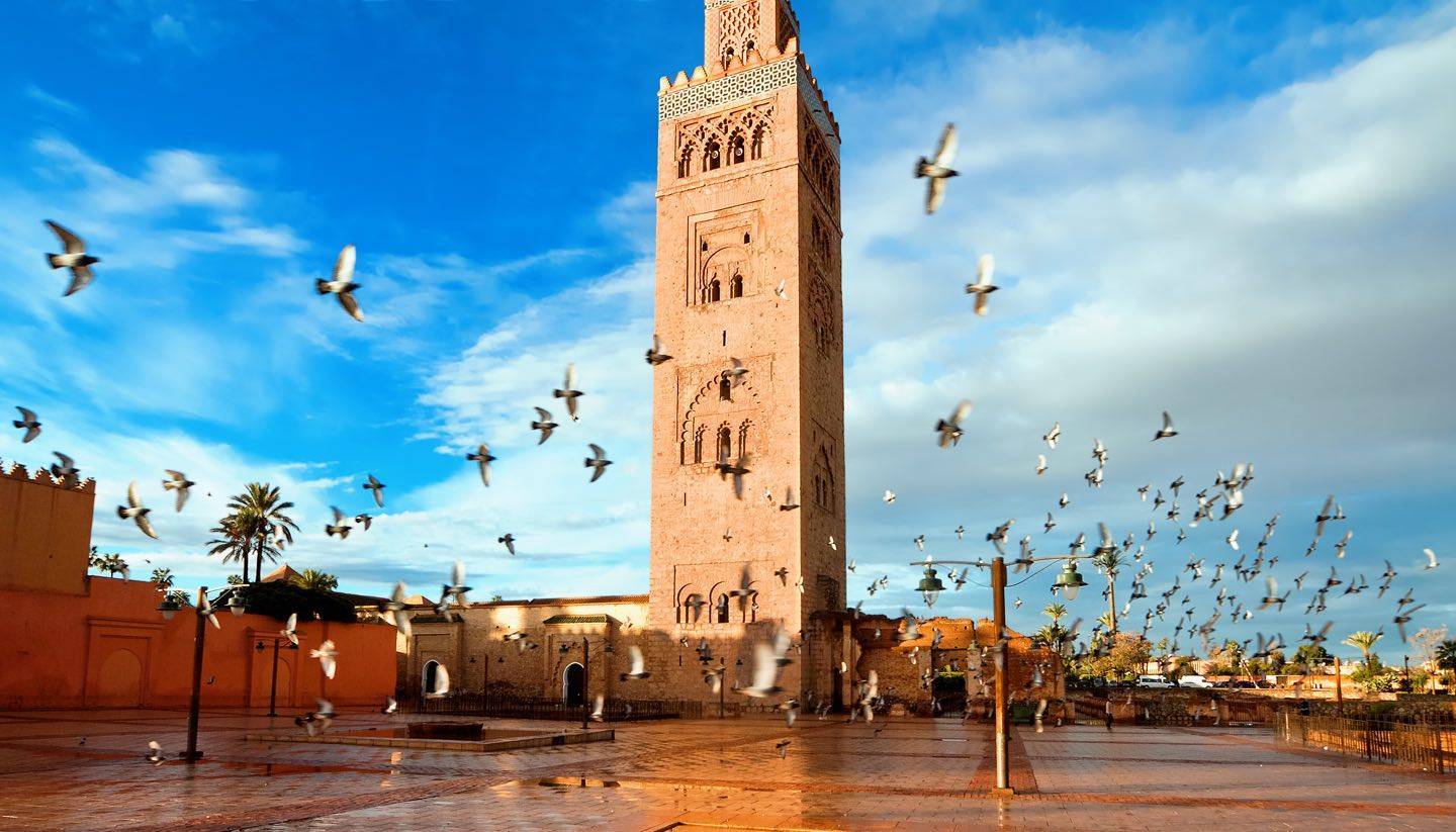 Pourquoi faire un tour à Marrakech ? La ville ocre                          